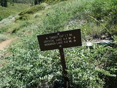 MineralKingLoop 295